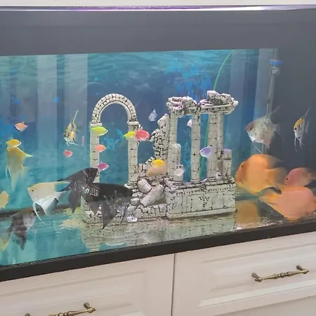 Apartamenti8 *